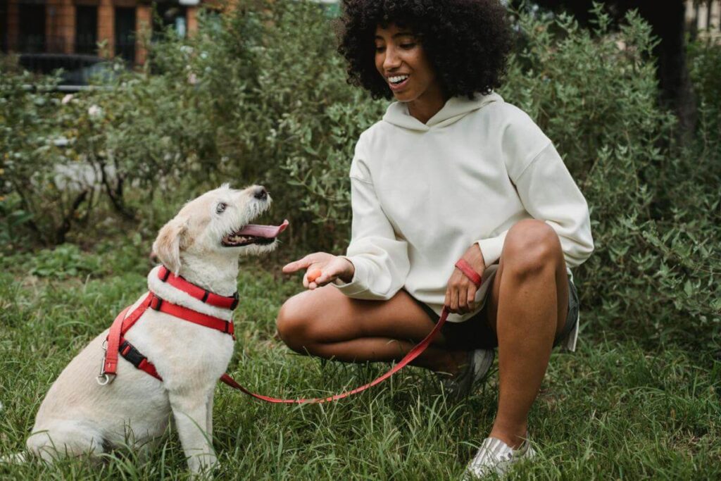 A woman kneeling on grass with a dog