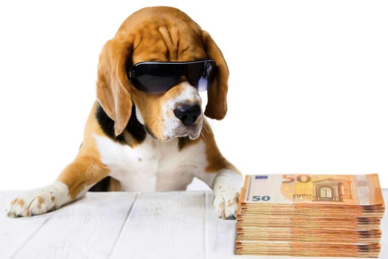 A beagle wearing sunglasses, sitting next to a stack of money.