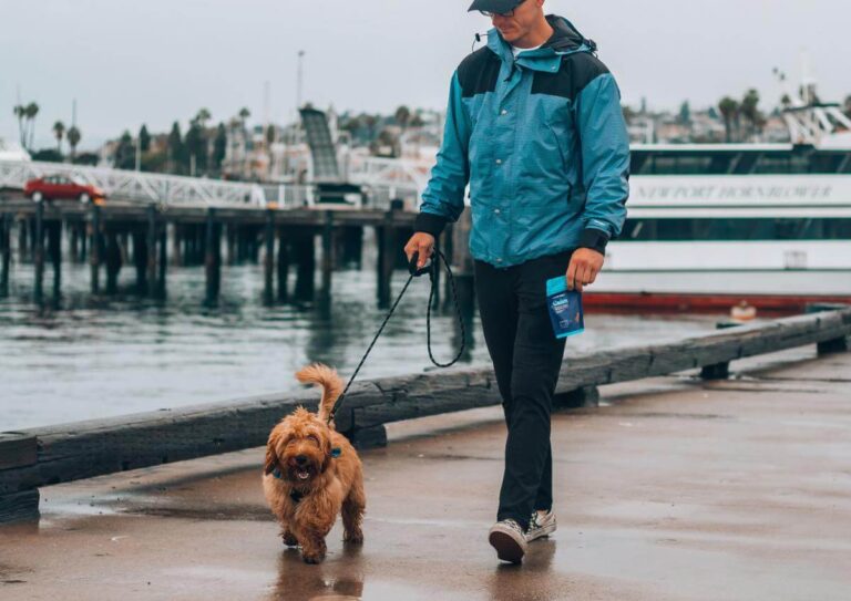 A man walking his dog on a dock.