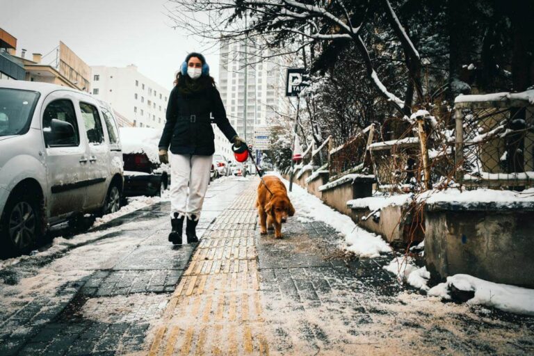 A woman walking her dog on a snowy street.