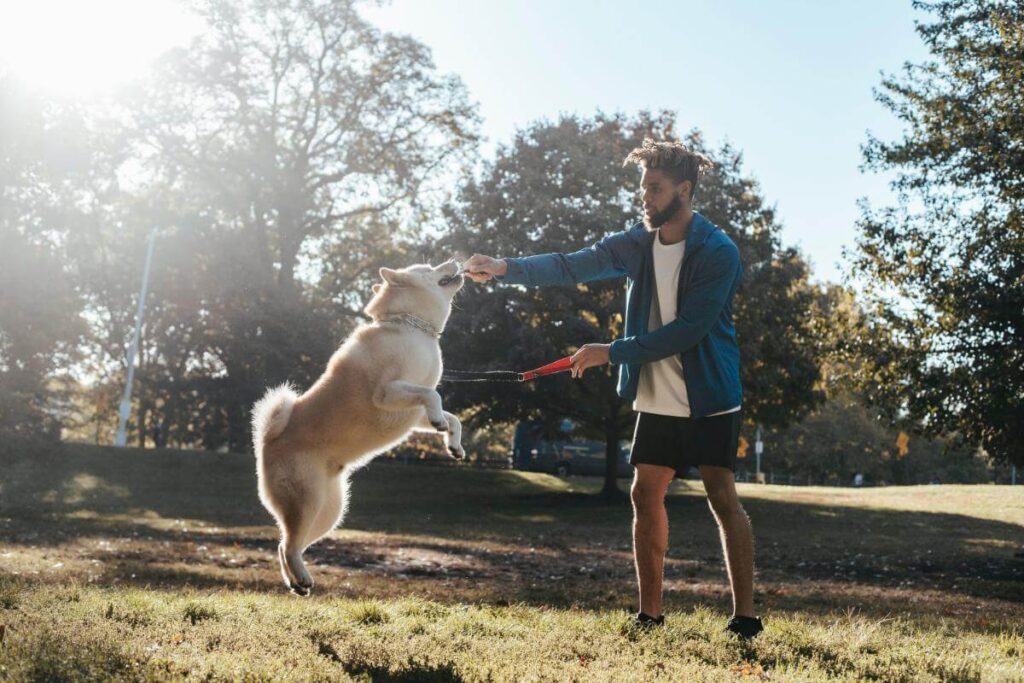 A man playing with his dog in a park.