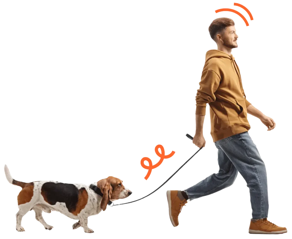 Person in a brown hoodie walking a Basset Hound on a leash, illustrating dog walking.