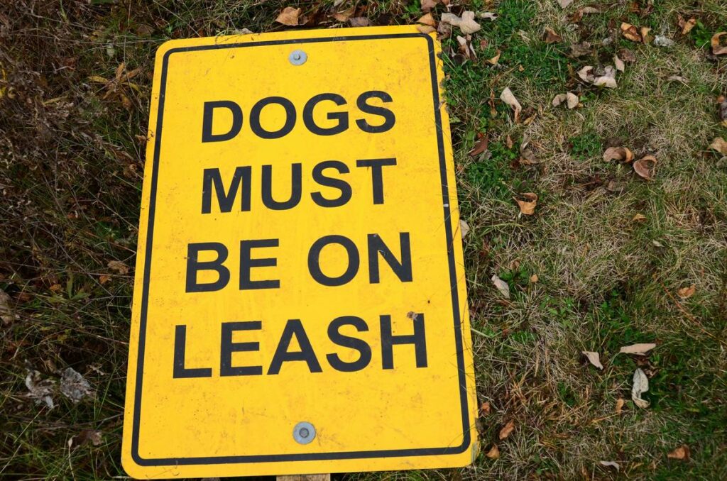 a yellow sign that says dogs must be on leash